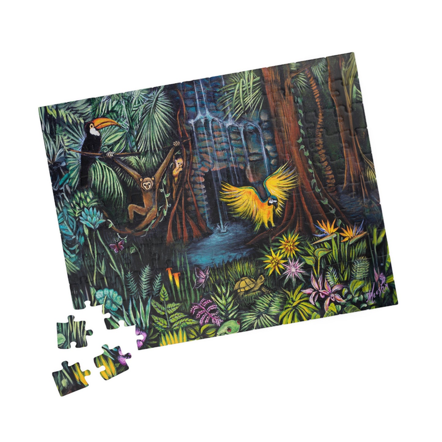 Amazonia Puzzle